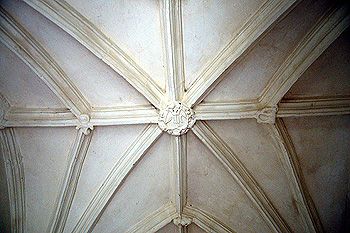 Tierceron-star valuting in the south porch March 2012
